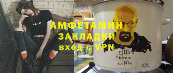 индика Белокуриха