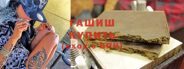 индика Белокуриха