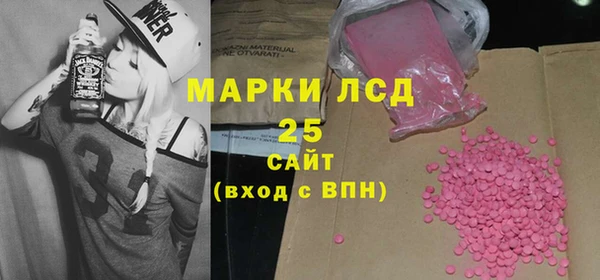 индика Белокуриха